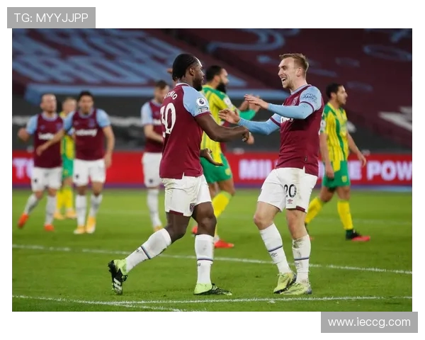 西布朗维奇的英超之路与未来展望