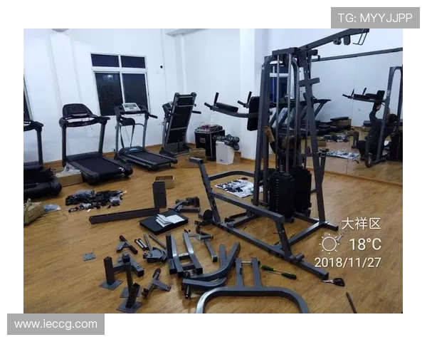 高性价比室内健身设备生产厂家十大品牌供应链揭秘