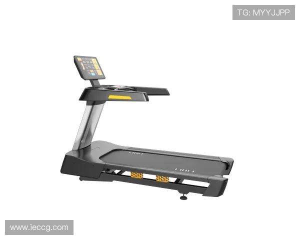 高韧性碳钢健身车大载重专业运动设备 高韧性碳钢健身车大载重专业运动设备