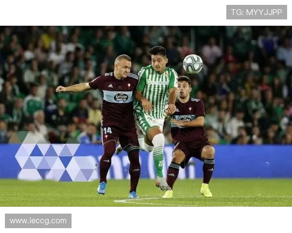 2012-2013赛季西甲联赛详细赛程及成绩分析 2012-2013赛季西甲联赛详细赛程及成绩分析