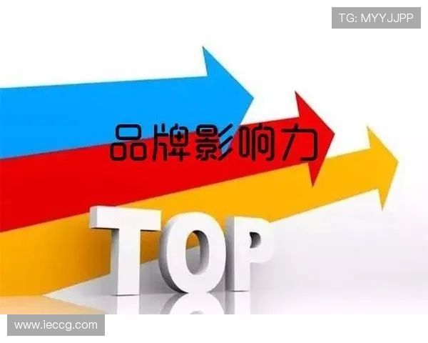 法甲俱乐部品牌建设与市场影响力提升策略