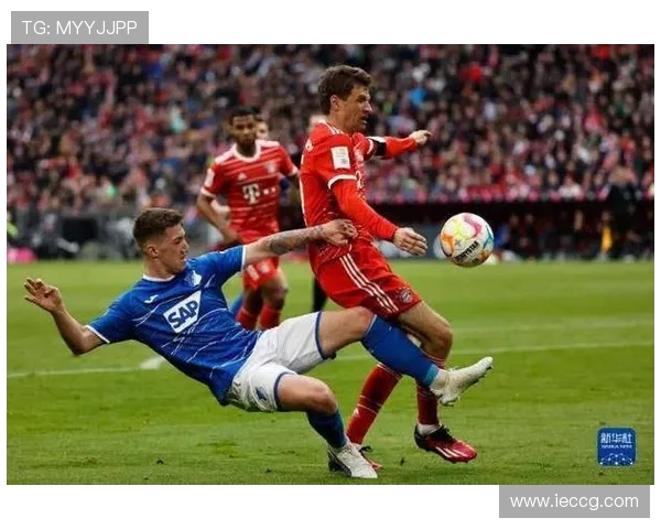 德甲焦点战美因茨主场迎战霍芬海姆胜负走向引热议新赛季关键较量