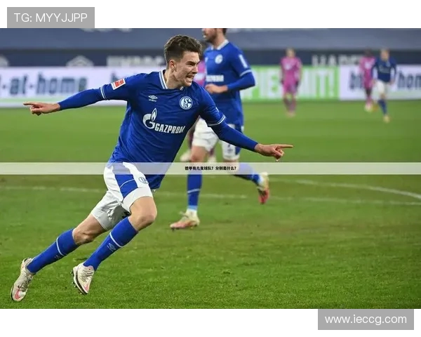 金元足球兴起背景下的德甲代表球队介绍 金元足球兴起背景下的德甲代表球队介绍